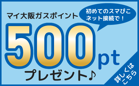 初めてのスマぴこネット接続で！